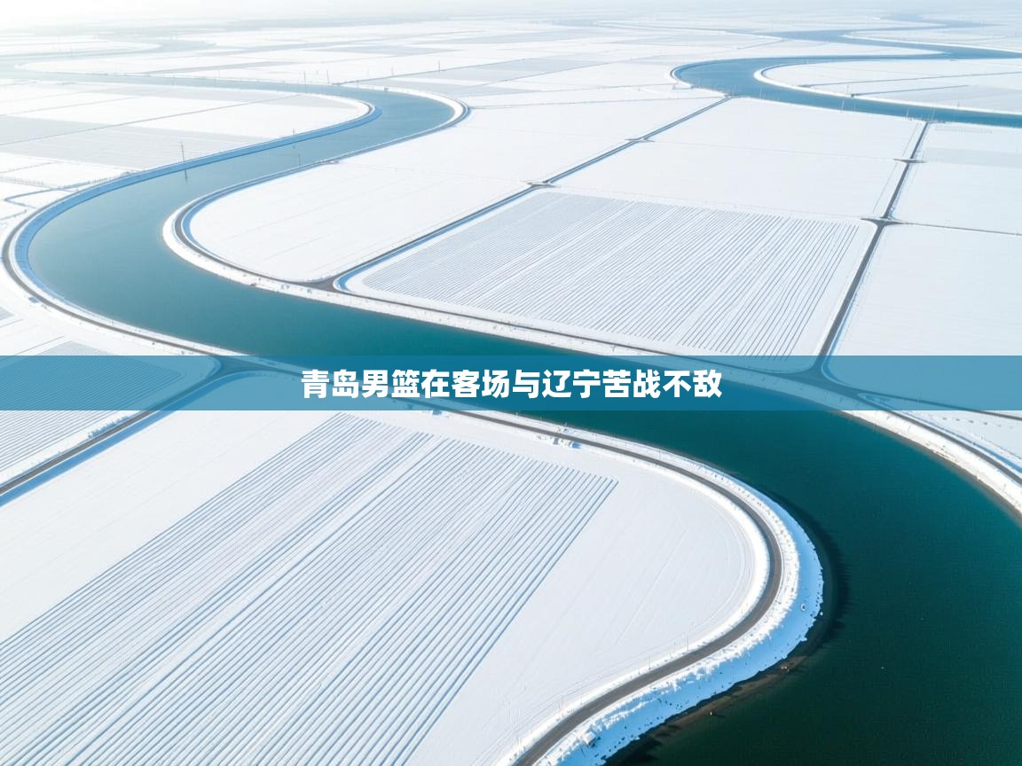 青岛男篮在客场与辽宁苦战不敌