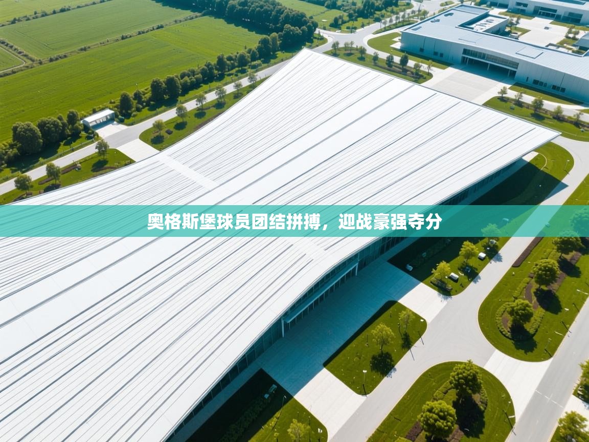 奥格斯堡球员团结拼搏，迎战豪强夺分